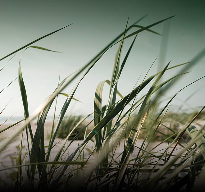 Solutions air/ water & hybrid heat pump