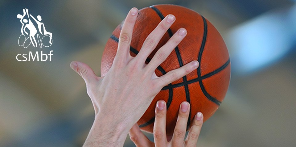 handy-basket-partenariat-frisquet